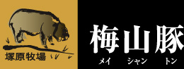 国内に100頭しかいない幻の最高級豚肉 梅山豚